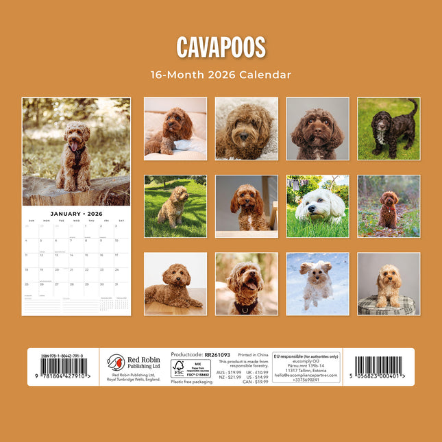 Cavapoos 2026 Premium Square Wall Calendar