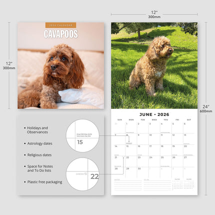 Cavapoos 2026 Premium Square Wall Calendar