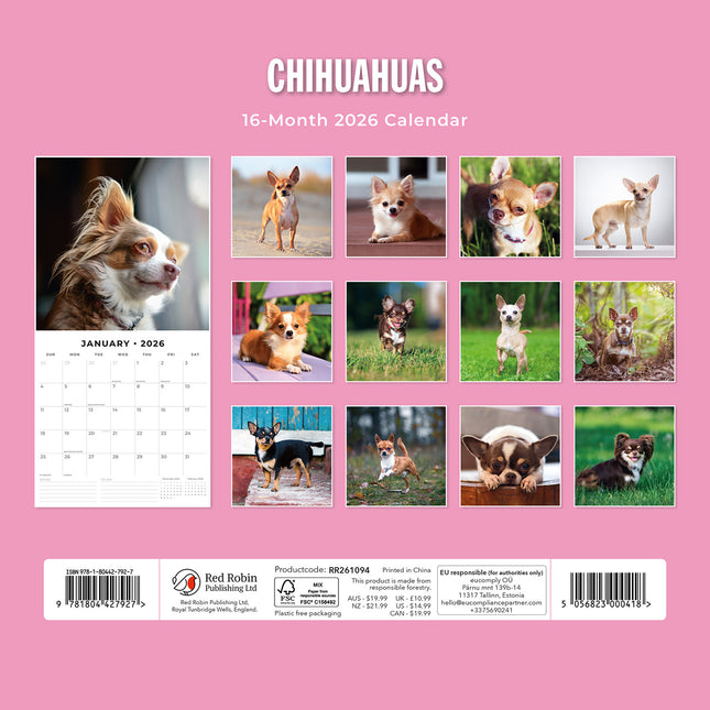 Chihuahuas 2026 Premium Square Wall Calendar