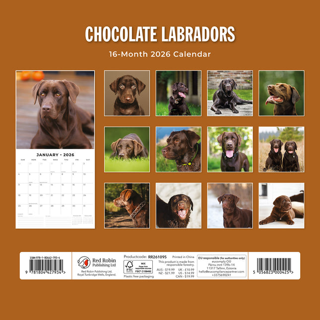 Chocolate Labradors 2026 Premium Square Wall Calendar