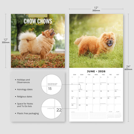 Chow Chows 2026 Premium Square Wall Calendar