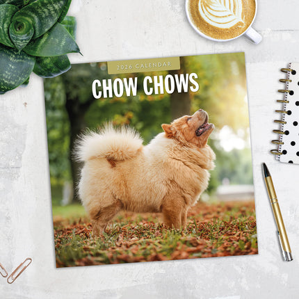 Chow Chows 2026 Premium Square Wall Calendar