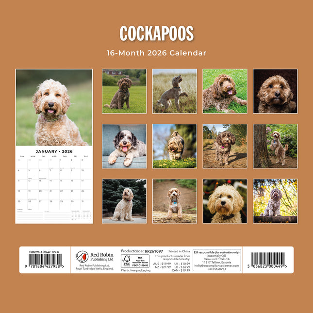 Cockapoos 2026 Premium Square Wall Calendar