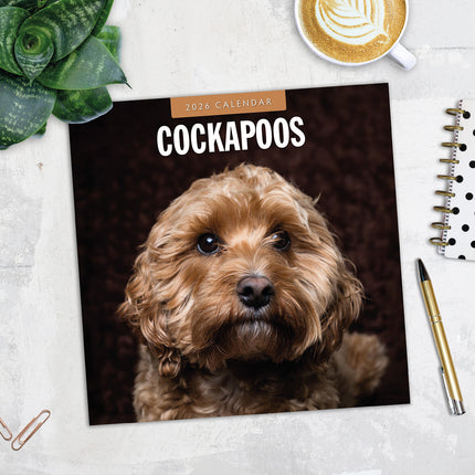 Cockapoos 2026 Premium Square Wall Calendar