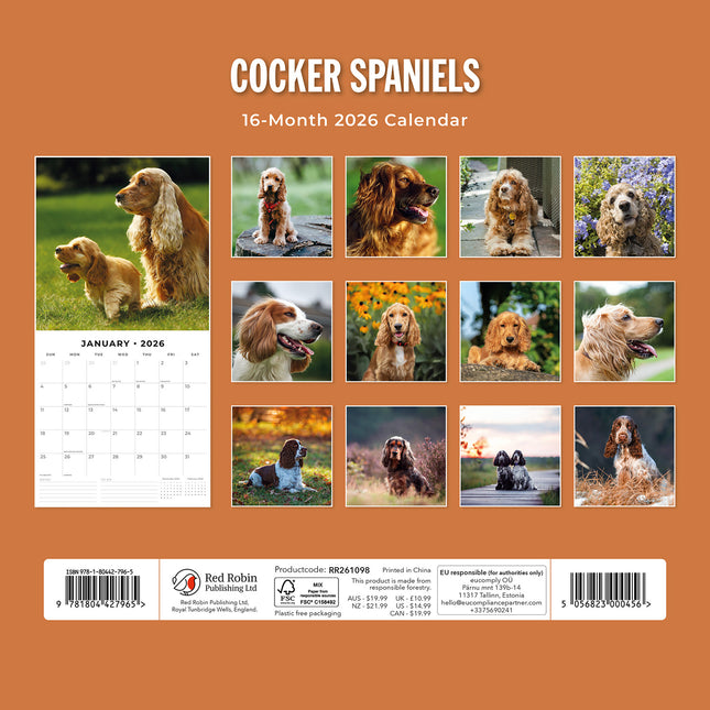 Cocker Spaniels 2026 Premium Square Wall Calendar