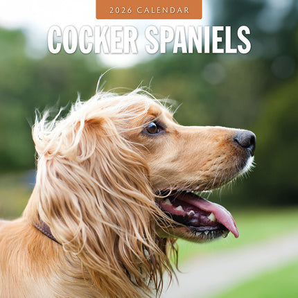Cocker Spaniels 2026 Premium Square Wall Calendar