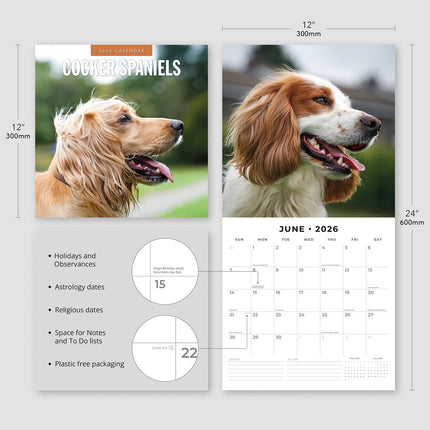 Cocker Spaniels 2026 Premium Square Wall Calendar