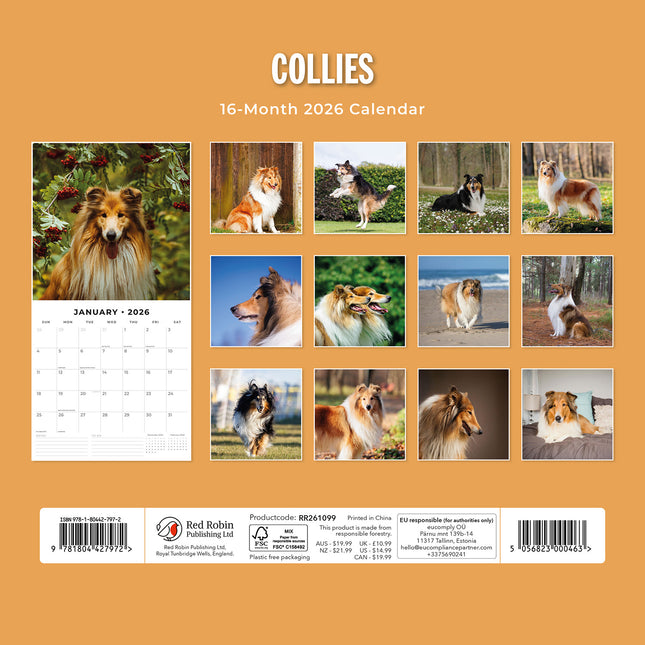 Collies 2026 Premium Square Wall Calendar