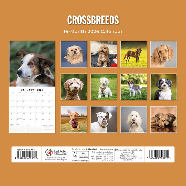 Crossbreeds 2026 Premium Square Wall Calendar
