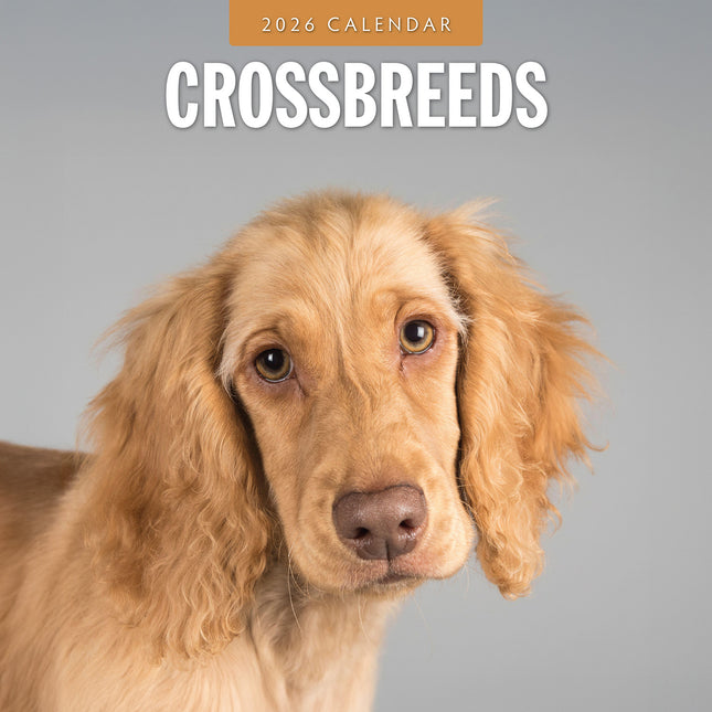Crossbreeds 2026 Premium Square Wall Calendar