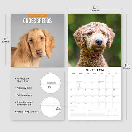 Crossbreeds 2026 Premium Square Wall Calendar