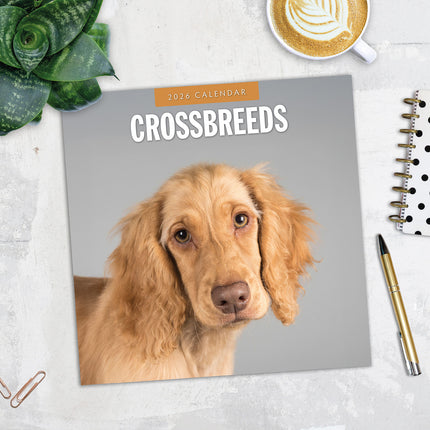 Crossbreeds 2026 Premium Square Wall Calendar