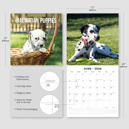 Dalmatian Puppies 2026 Premium Square Wall Calendar