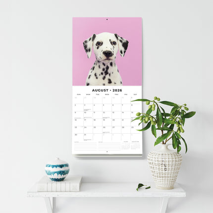 Dalmatian Puppies 2026 Premium Square Wall Calendar