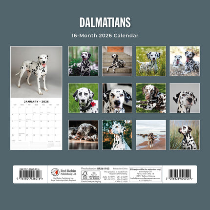 Dalmatians 2026 Premium Square Wall Calendar