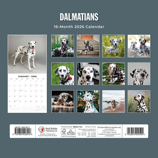 Dalmatians 2026 Premium Square Wall Calendar