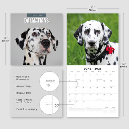 Dalmatians 2026 Premium Square Wall Calendar