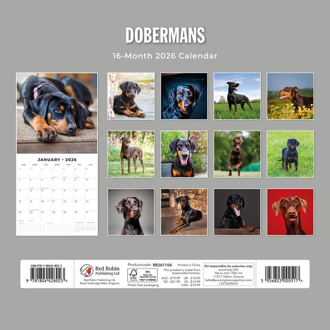 Dobermans 2026 Premium Square Wall Calendar