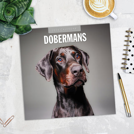 Dobermans 2026 Premium Square Wall Calendar