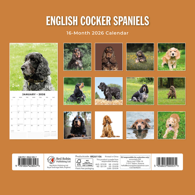 English Cocker Spaniels 2026 Premium Square Wall Calendar