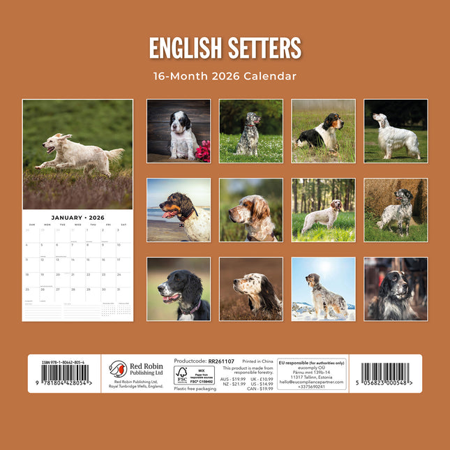 English Setters 2026 Premium Square Wall Calendar