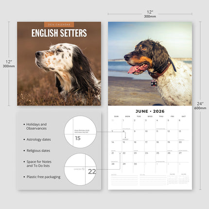English Setters 2026 Premium Square Wall Calendar