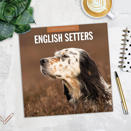 English Setters 2026 Premium Square Wall Calendar