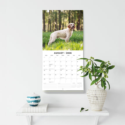 English Setters 2026 Premium Square Wall Calendar