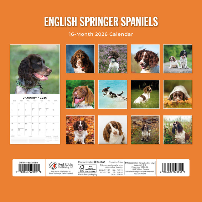 English Springer Spaniels 2026 Premium Square Wall Calendar