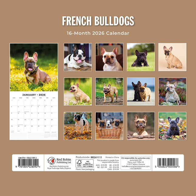 French Bulldogs 2026 Premium Square Wall Calendar
