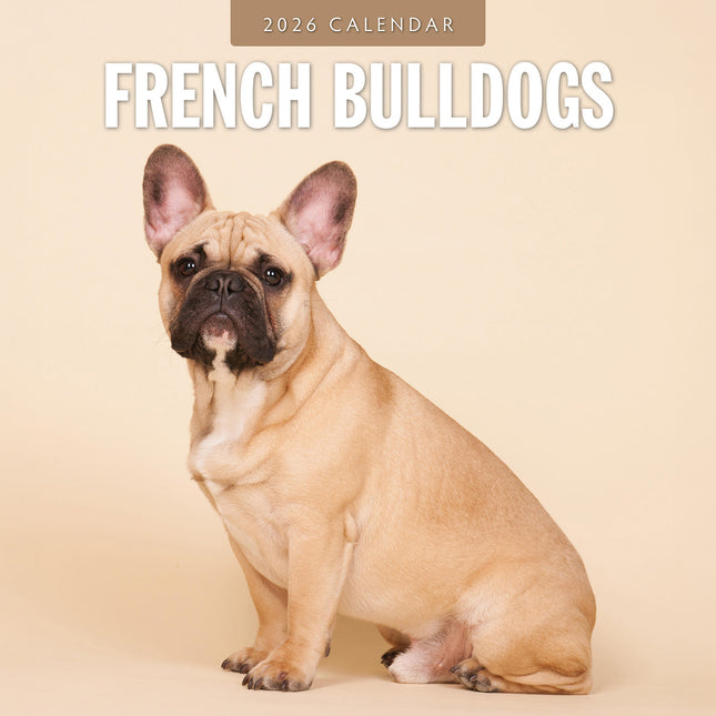French Bulldogs 2026 Premium Square Wall Calendar