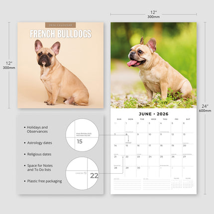 French Bulldogs 2026 Premium Square Wall Calendar