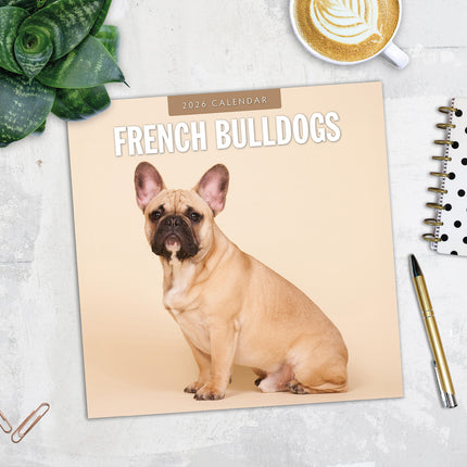 French Bulldogs 2026 Premium Square Wall Calendar