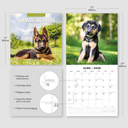 German Shepherd Puppies 2026 Premium Square Wall Calendar