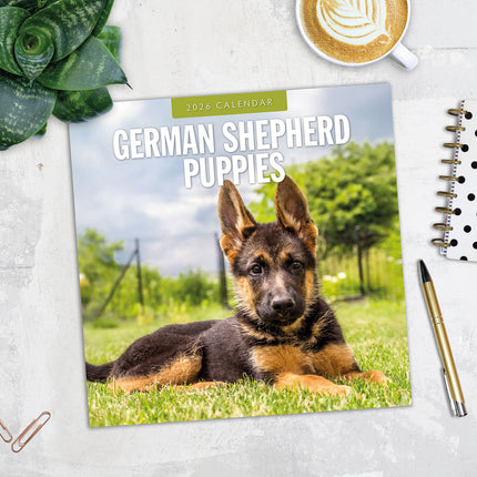 German Shepherd Puppies 2026 Premium Square Wall Calendar