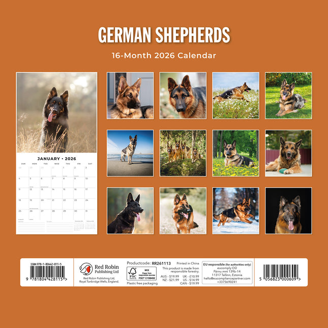 German Shepherds 2026 Premium Square Wall Calendar