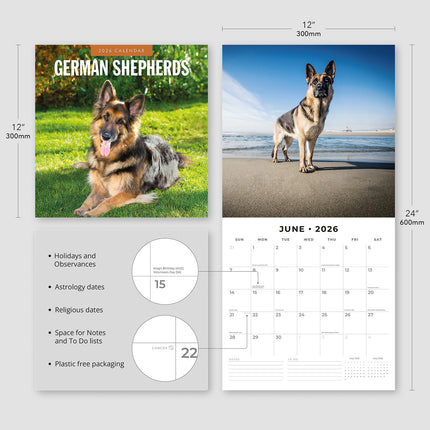 German Shepherds 2026 Premium Square Wall Calendar