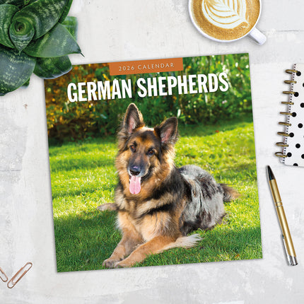 German Shepherds 2026 Premium Square Wall Calendar