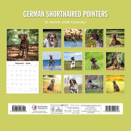 German Shorthaired Pointers 2026 Premium Square Wall Calendar