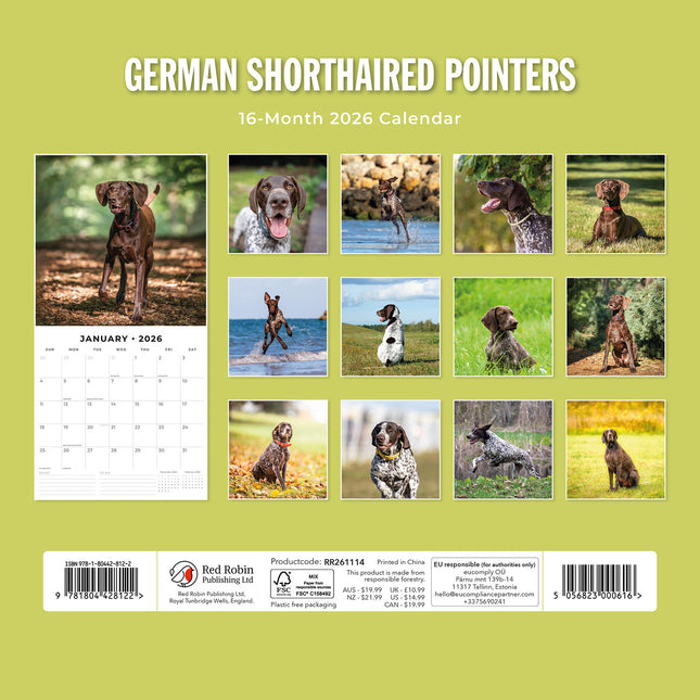 German Shorthaired Pointers 2026 Premium Square Wall Calendar