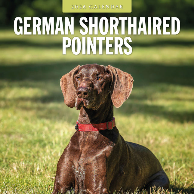 German Shorthaired Pointers 2026 Premium Square Wall Calendar