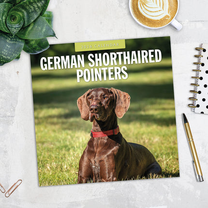 German Shorthaired Pointers 2026 Premium Square Wall Calendar