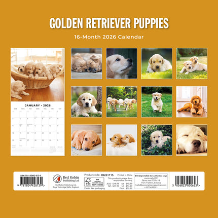 Golden Retriever Puppies 2026 Premium Square Wall Calendar