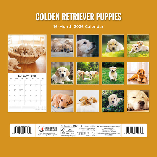 Golden Retriever Puppies 2026 Premium Square Wall Calendar