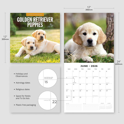 Golden Retriever Puppies 2026 Premium Square Wall Calendar