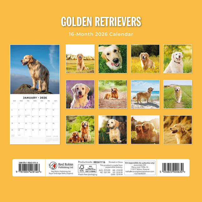 Golden Retrievers 2026 Premium Square Wall Calendar