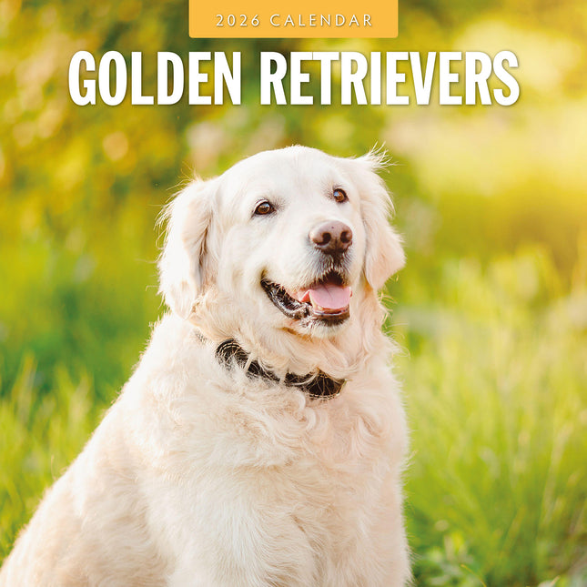 Golden Retrievers 2026 Premium Square Wall Calendar