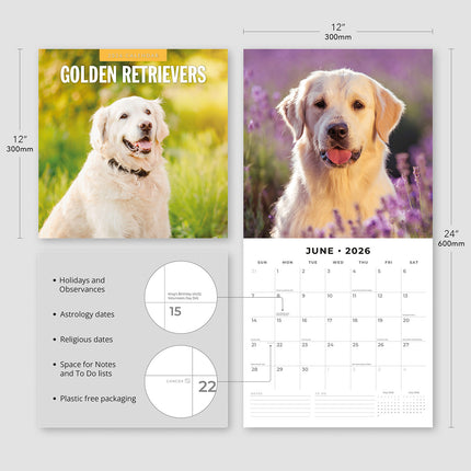 Golden Retrievers 2026 Premium Square Wall Calendar
