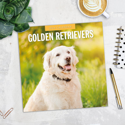 Golden Retrievers 2026 Premium Square Wall Calendar
