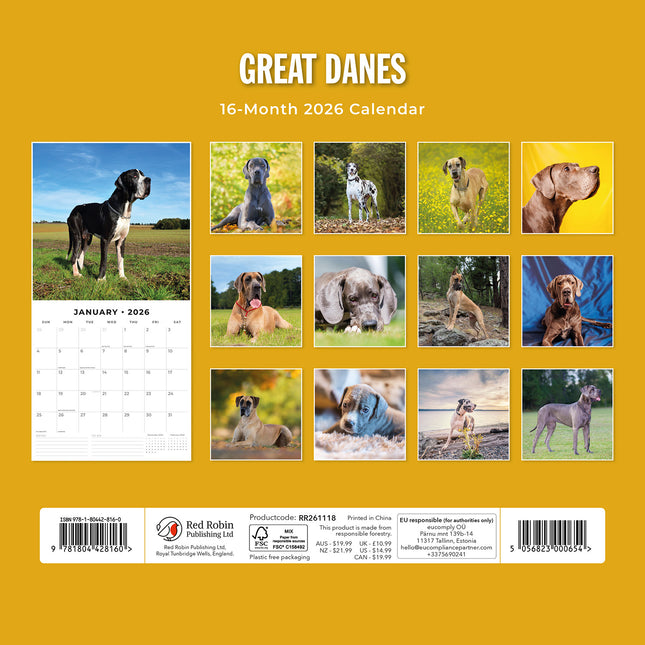 Great Danes 2026 Premium Square Wall Calendar